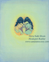 Shiva and Shakti in the Brain